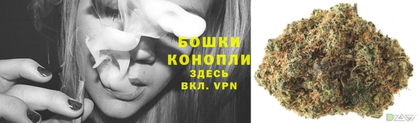 стафф Новокубанск
