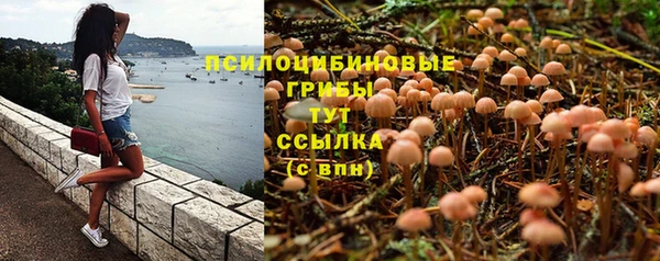 бутират Новозыбков