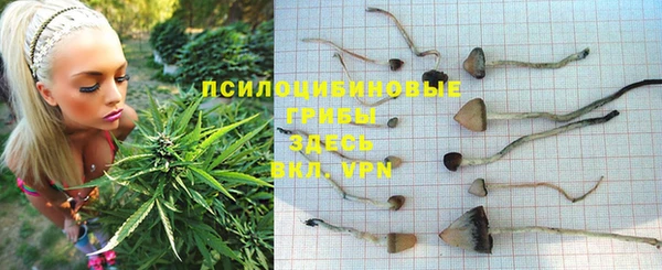 не бодяженный Новодвинск