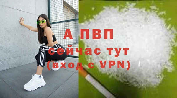 стафф Новокубанск
